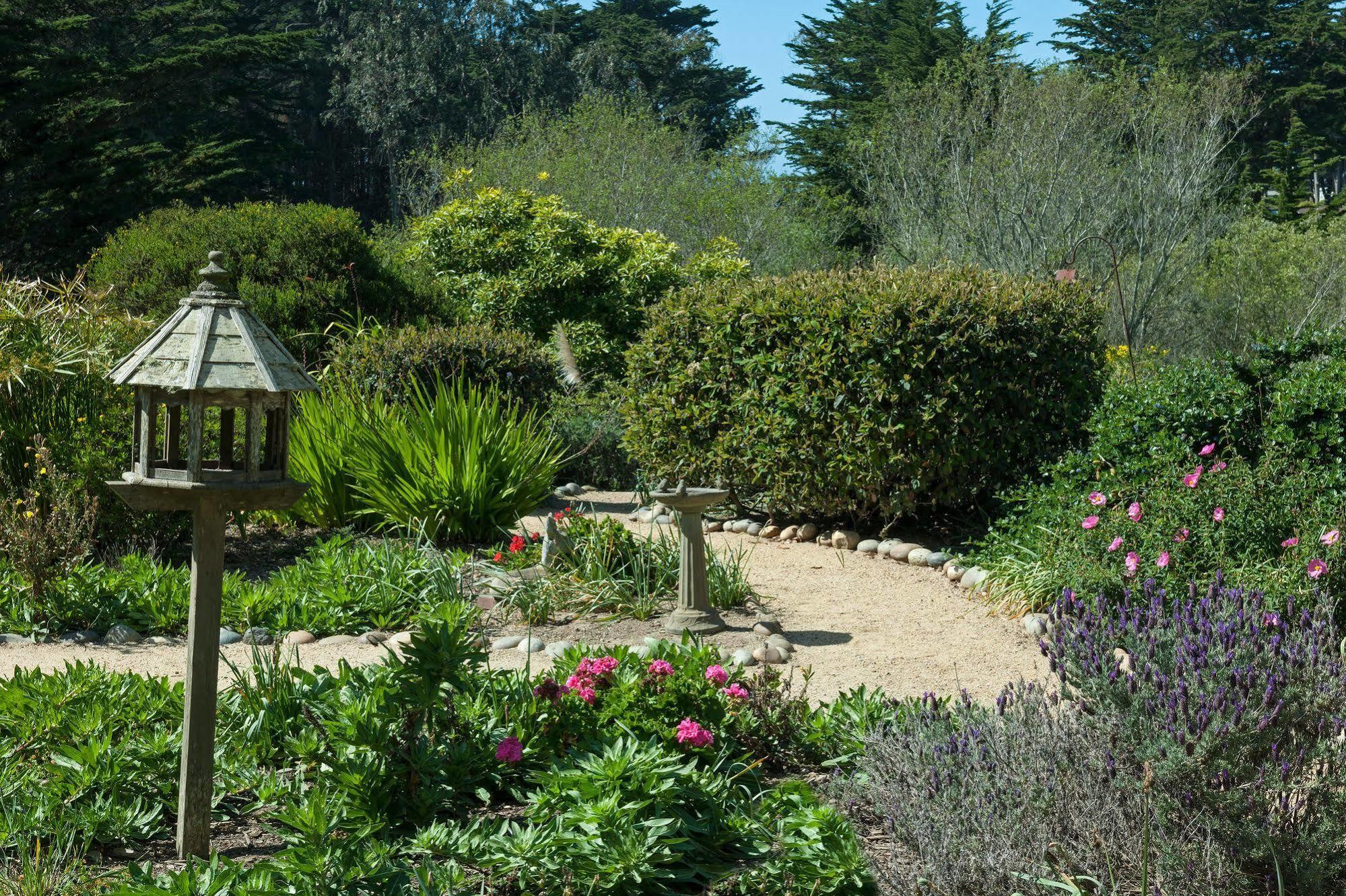 Seal Cove Inn Moss Beach Exterior foto